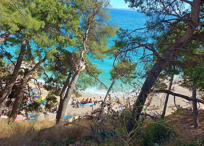 Design * 斯普利特